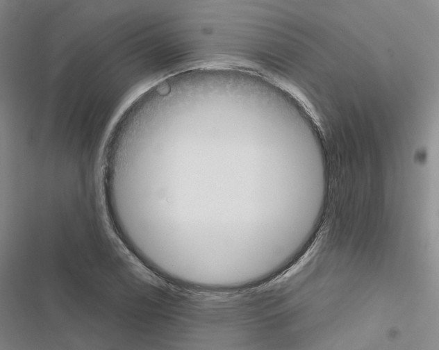 X0000116451122201001191547