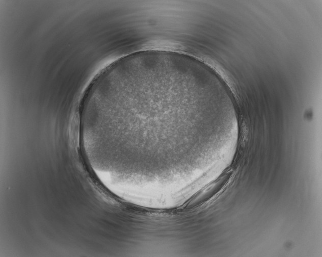 X0000116451123201001191547