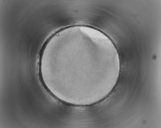 X0000116451126201001191547