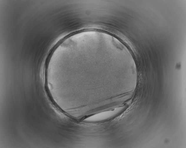 X0000116451127201001191547
