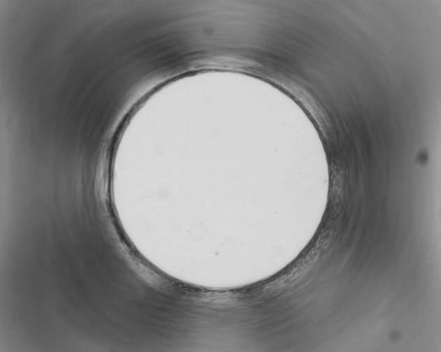 X0000116451131201001191547