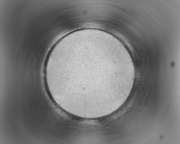 X0000116451133201001191547