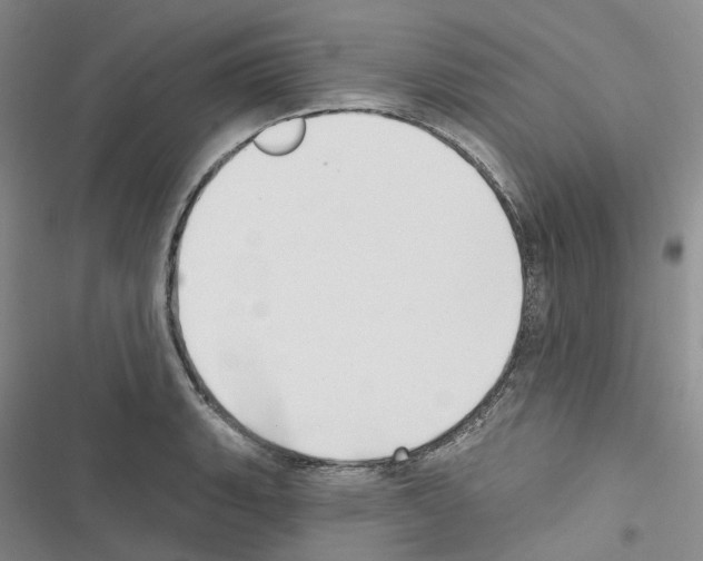 X0000116451135201001191547
