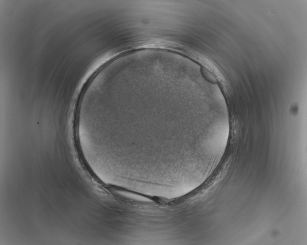 X0000116451138201001191547