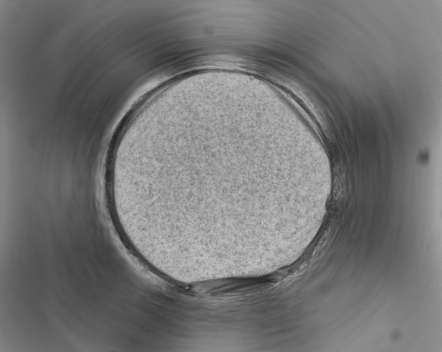X0000116451139201001191547