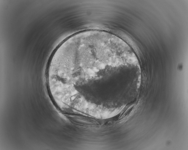 X0000116451141201001191547