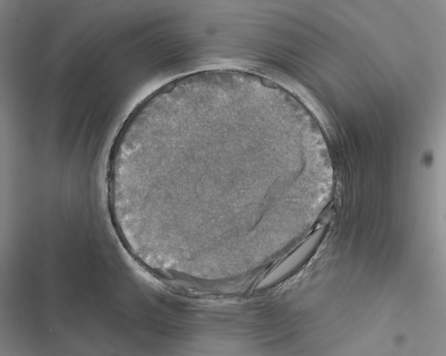 X0000116451143201001191547