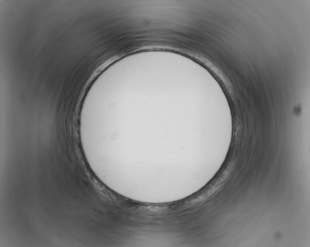 X0000116451145201001191547