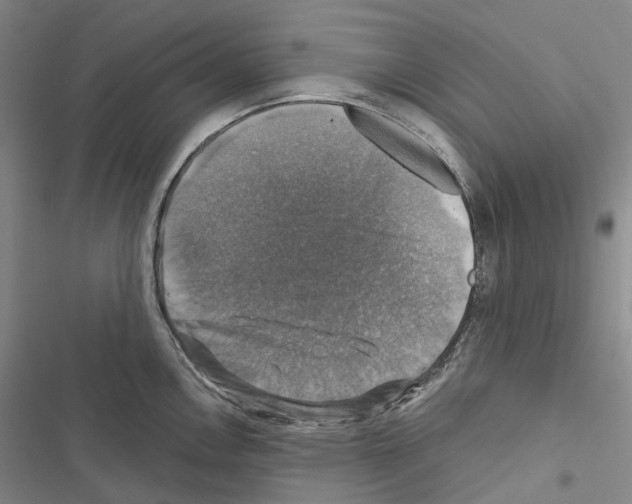 X0000116451146201001191547