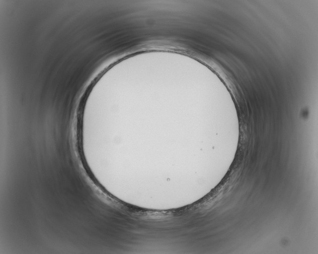 X0000116451147201001191547