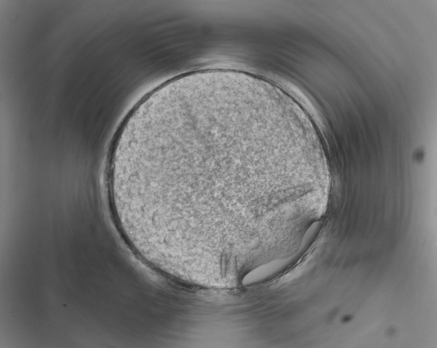 X0000116451149201001191547