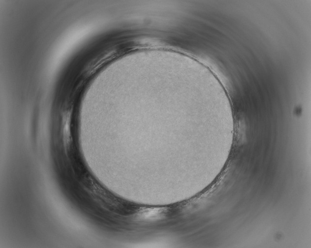 X0000116451150201001191547