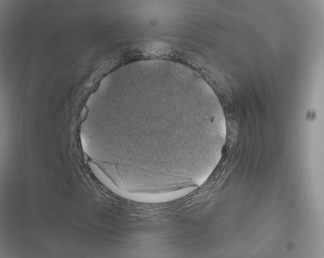 X0000116451153201001191547