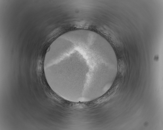 X0000116451154201001191547