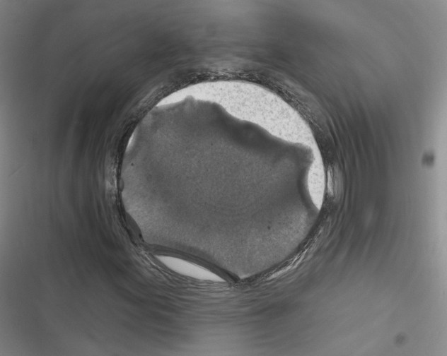 X0000116451155201001191547