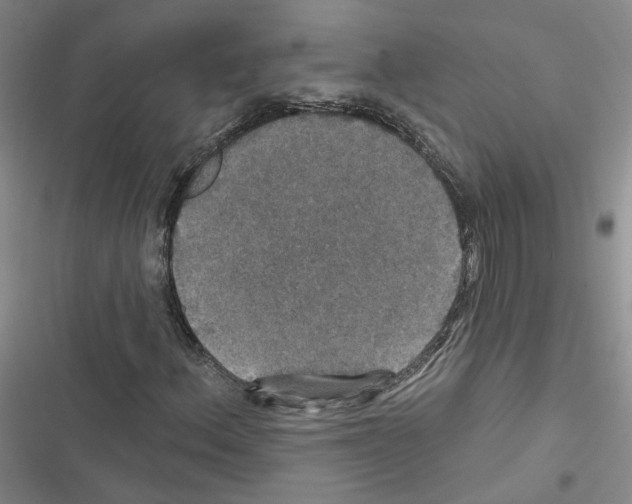 X0000116451156201001191547