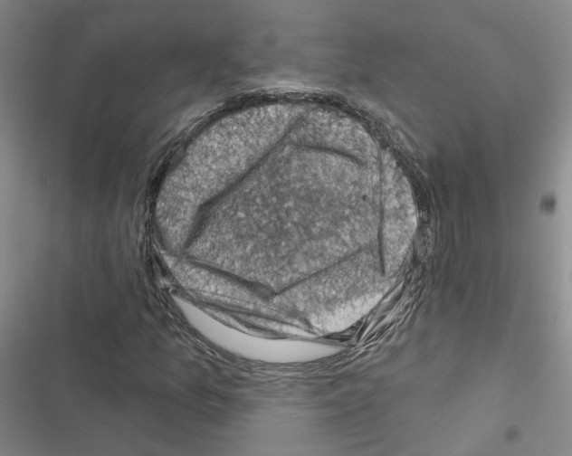 X0000116451157201001191547