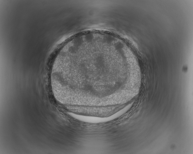 X0000116451159201001191547