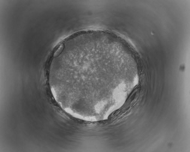 X0000116451160201001191547
