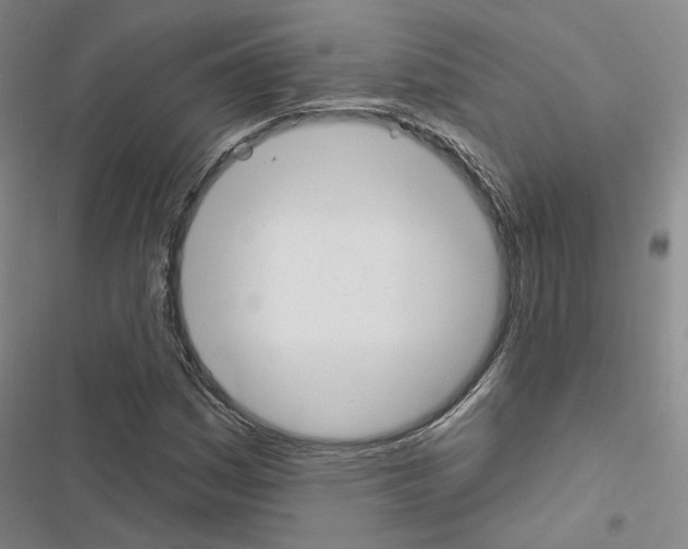 X0000116451161201001191547