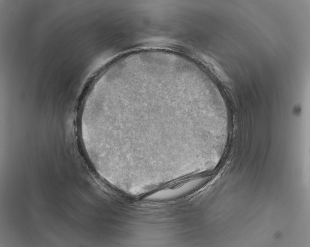X0000116451164201001191546