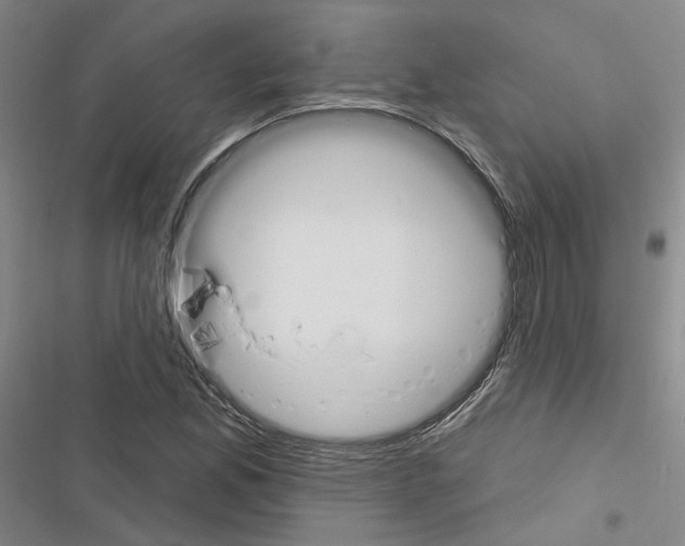 X0000116451165201001191546