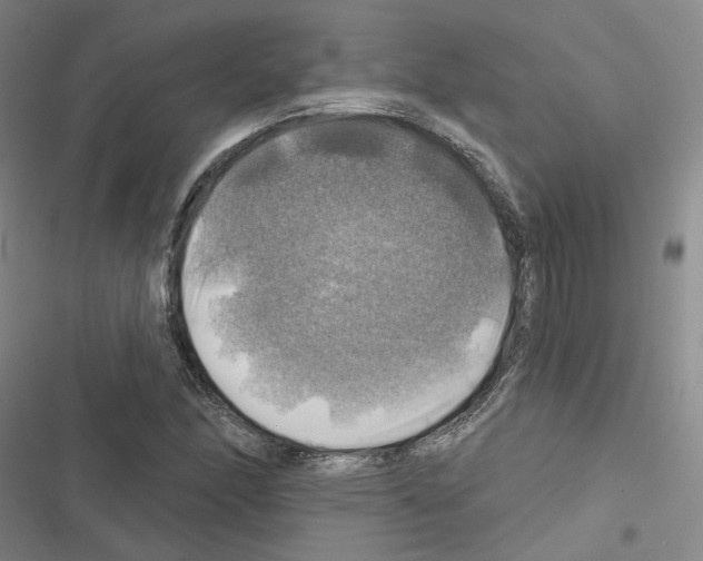 X0000116451166201001191546