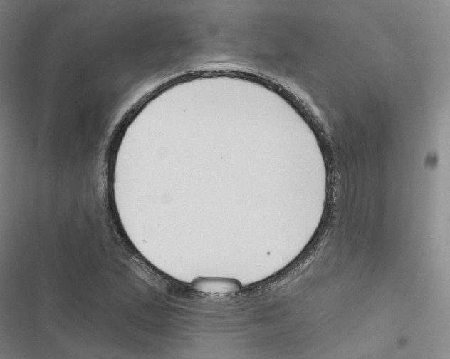 X0000116451167201001191546