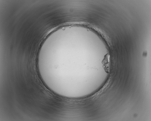X0000116451169201001191546