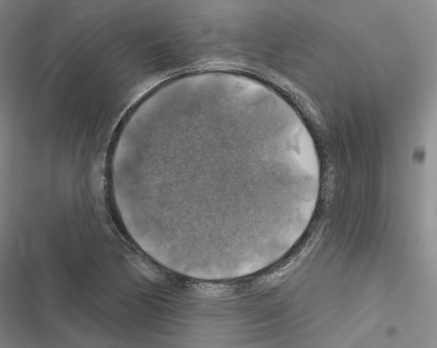 X0000116451170201001191546
