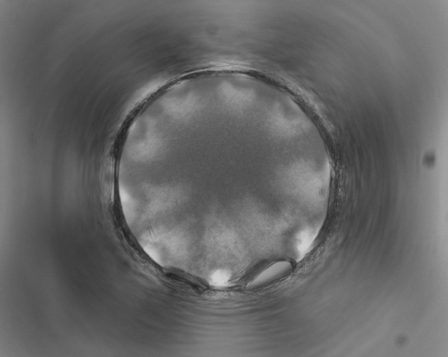 X0000116451171201001191546