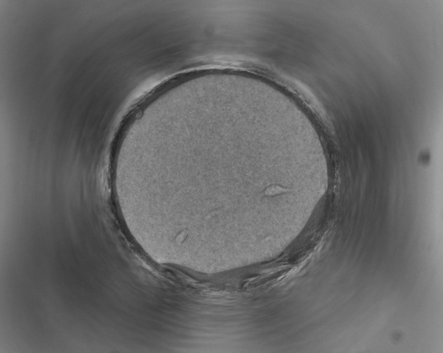 X0000116451172201001191546