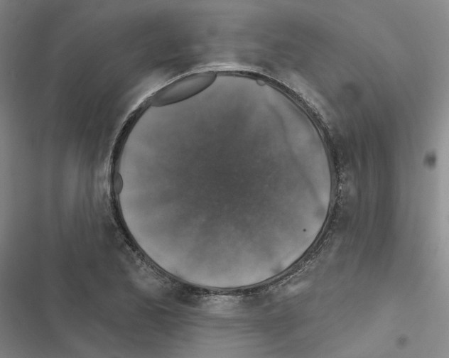 X0000116451173201001191546