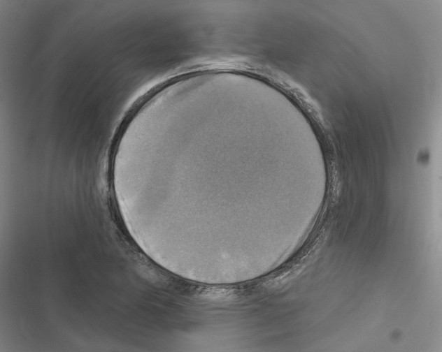 X0000116451174201001191546