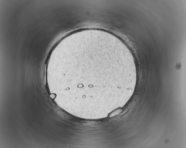 X0000116451175201001191546
