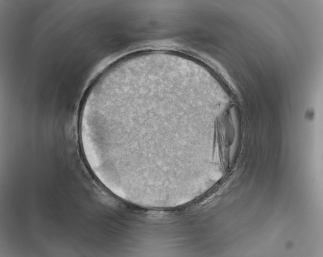 X0000116451176201001191546