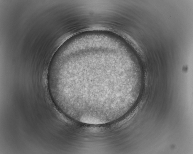 X0000116451177201001191546