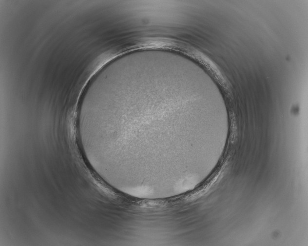 X0000116451178201001191546