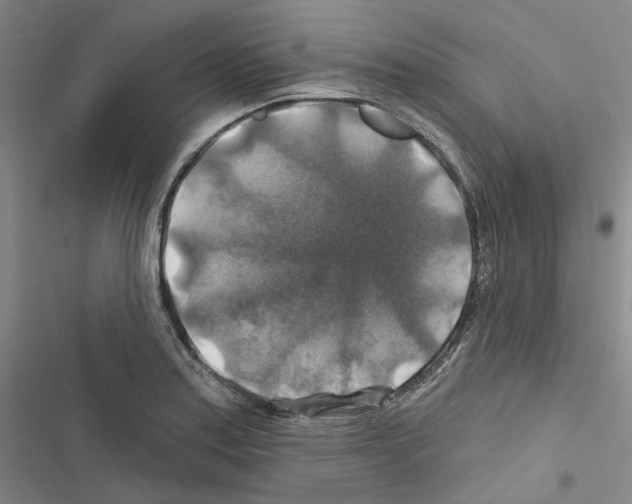 X0000116451179201001191546