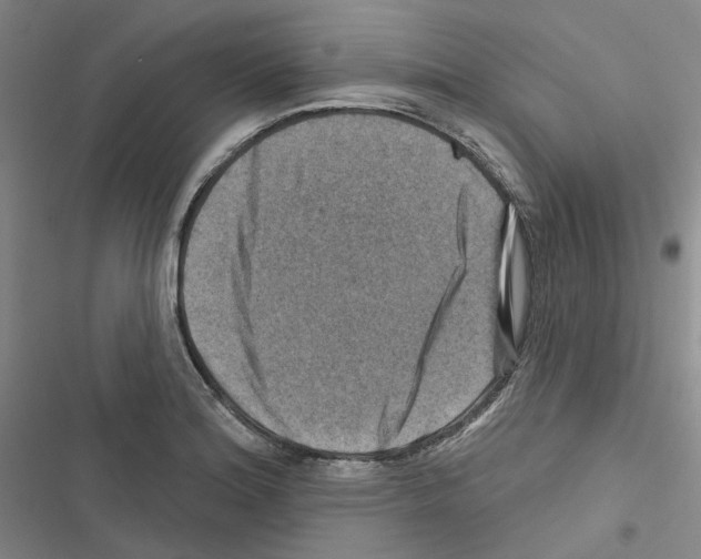 X0000116451180201001191546