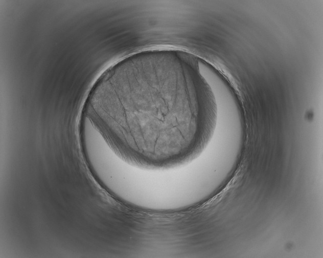 X0000116451181201001191546