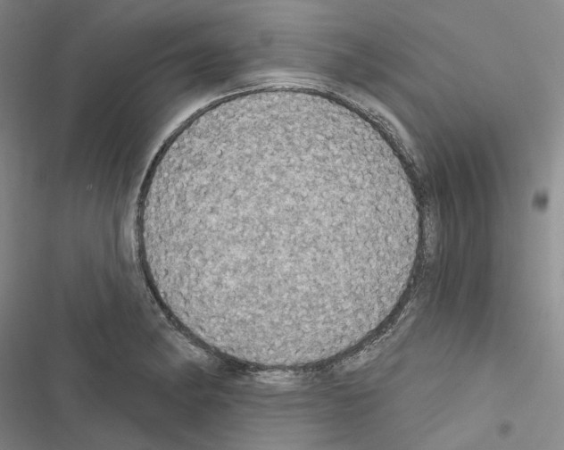 X0000116451182201001191546