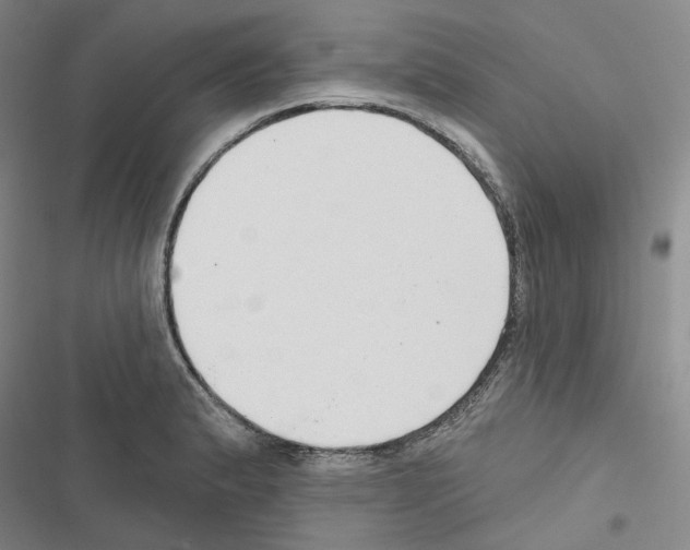 X0000116451183201001191546