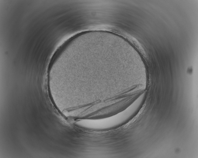 X0000116451184201001191546