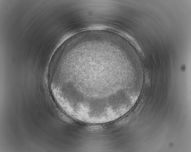 X0000116451186201001191546