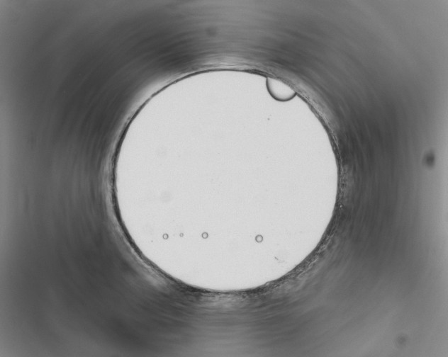 X0000116451187201001191546