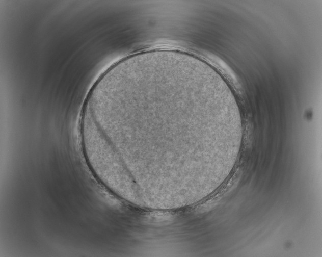 X0000116451190201001191546