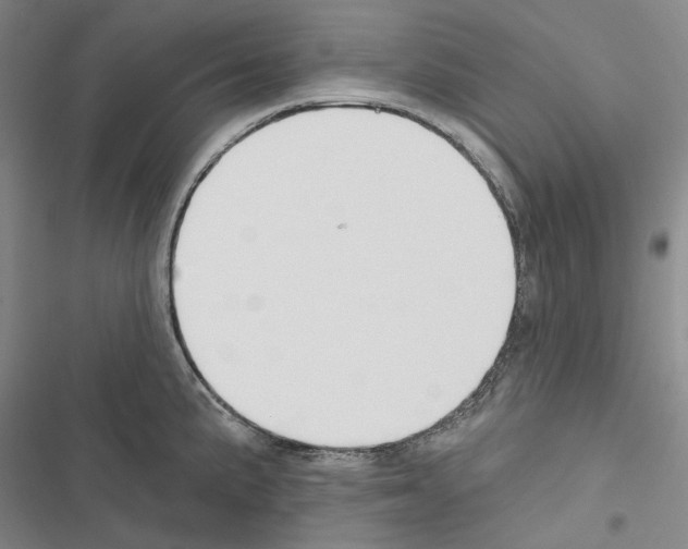 X0000116451191201001191546