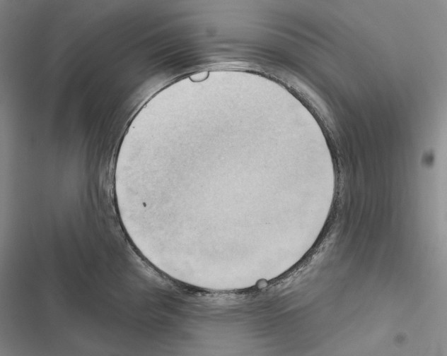 X0000116451193201001191546
