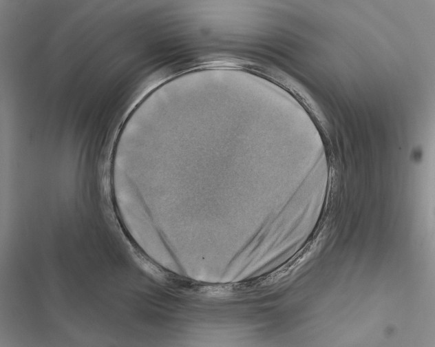 X0000116451194201001191546